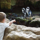 Image for article titled Report: Only 1 In 3 Preschool Graduates Has Necessary Animal Sound Skills Upon Entering Zoo